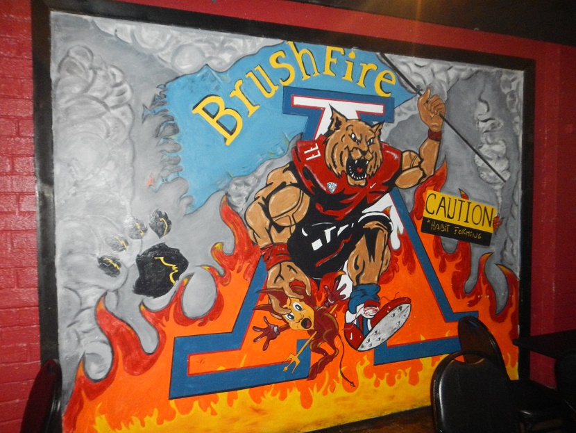 2016-2-3-brushfire-2