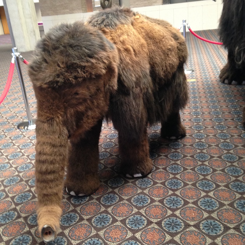 2017-2-9-tucson-gem-show-10